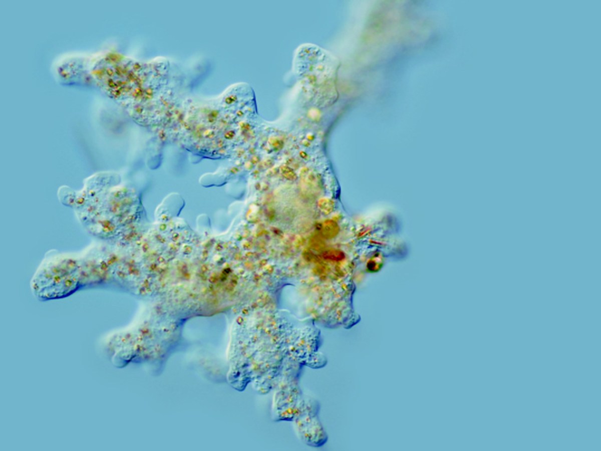 Blogbeitrag bei den Unternehmensdemokraten